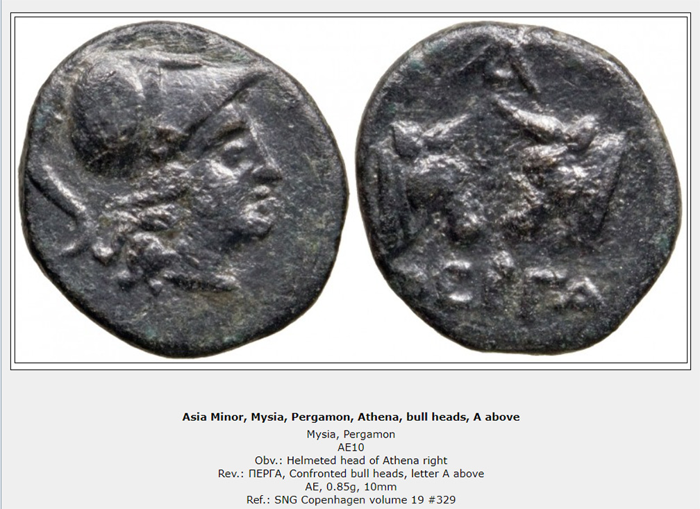 My-First-Animal-On-A-Coin.